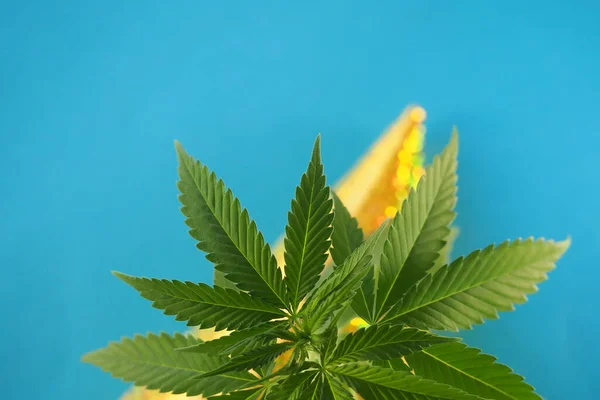 Kannabisznövény Levelek Orvosi Marihuána — Stock Fotó