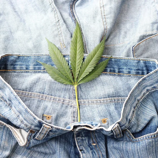 Industrial Hemp Leaf Jeans Fabric — Stock Photo, Image