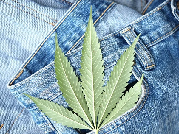 Industrial Hemp Leaf Jeans Fabric — Stock Photo, Image