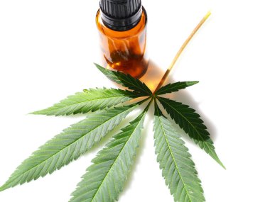 Cbd yağı ve kenevir yaprağı. Şişe kenevir özütü.