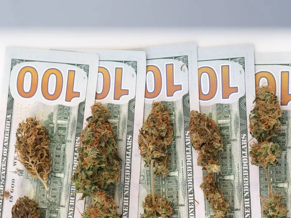 Concept Entreprise Cannabis Argent Dollars Américains Marijuana Médicale — Photo