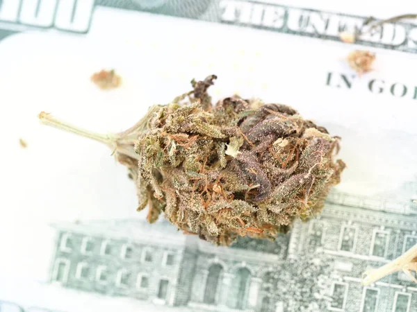 Κάνναβη Επιχειρηματική Ιδέα Χρήματα Αμερικανικά Δολάρια Και Ιατρική Μαριχουάνα — Φωτογραφία Αρχείου