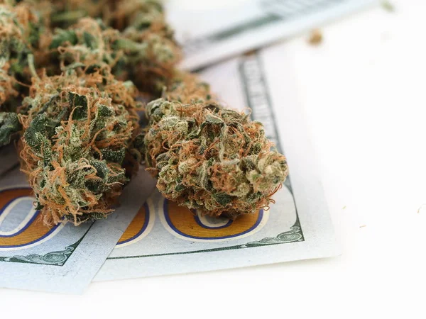 Concepto Negocio Cannabis Dinero Dólares Americanos Marihuana Medicinal — Foto de Stock