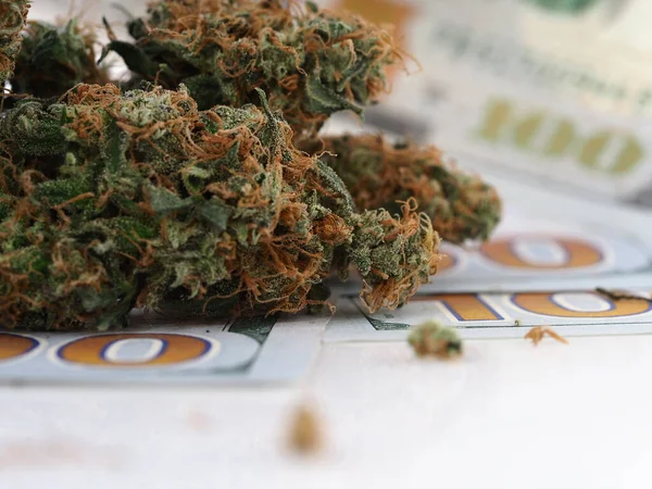 Concept Entreprise Cannabis Argent Dollars Américains Marijuana Médicale — Photo