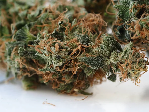 Cannabis Business Concept Geld Amerikaanse Dollars Medicinale Marihuana — Stockfoto