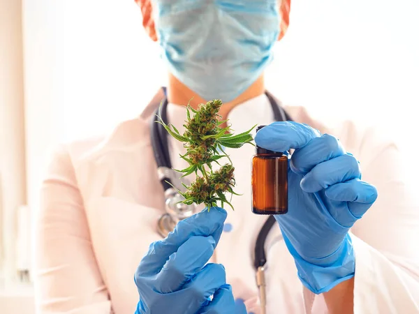 一名女科学家医生手中的医用大麻杂草 — 图库照片