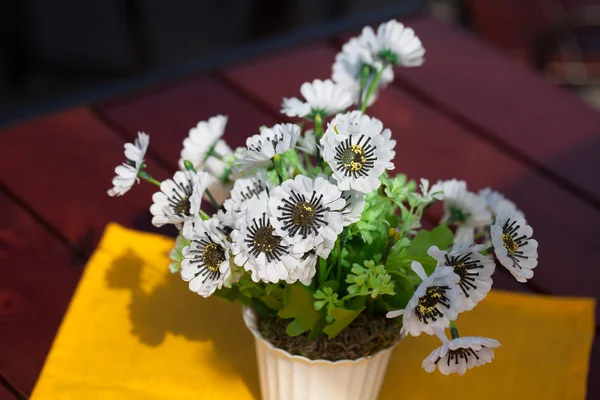Belles fleurs blanches dans le pot — Photo