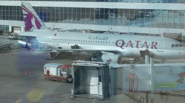 Domodedovo havaalanında uçak