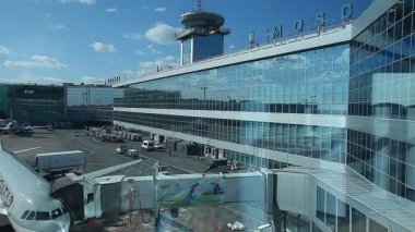 Domodedovo havaalanında uçaklar
