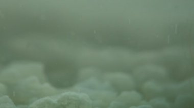 Akvaryum kabarcıkları