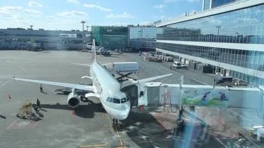 Domodedovo havaalanında uçak