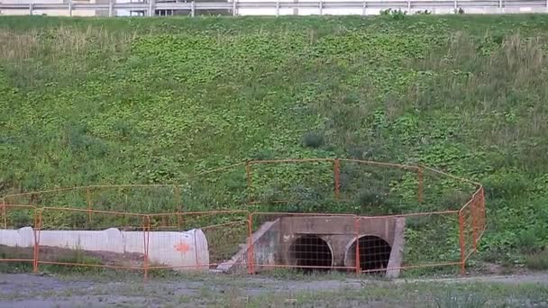 Edificio en el proceso de construcción — Vídeo de stock