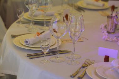 Gözlük ve peçeteler Festival tablo