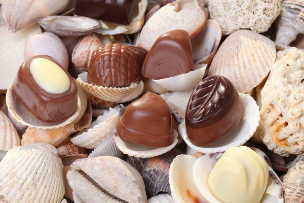 Snäckskal och choklad godis — Stockfoto