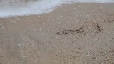 Okyanus dalgaları sahilde