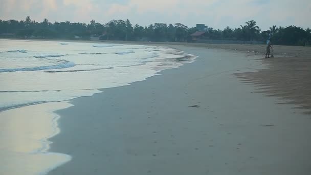 Plaj temizleme kişi — Stok video