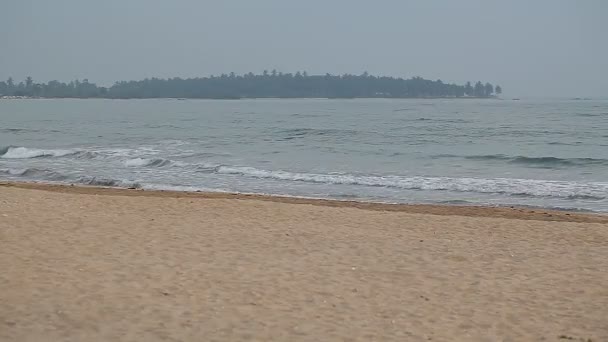 Onde oceaniche sulla spiaggia — Video Stock