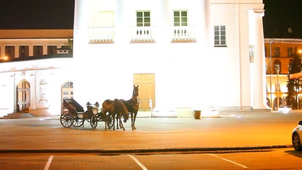 Sculpture of horses at the Minsk City Hall — Stock Video