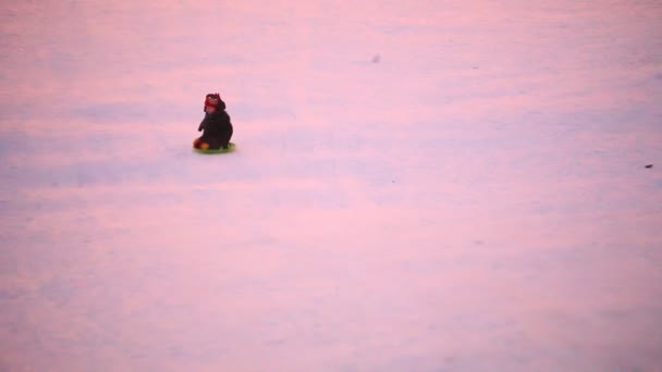 Child ridding on sled — Stock Video