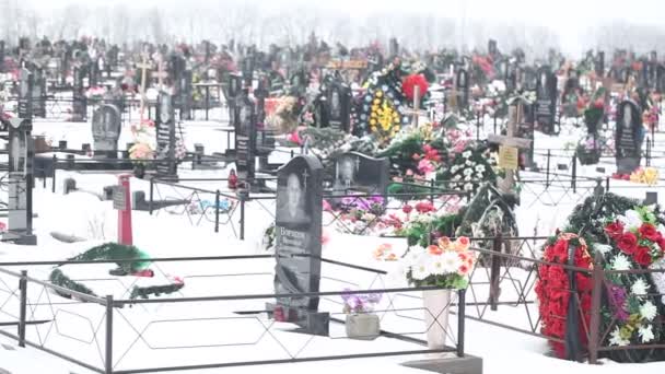 Nagrobków na cmentarzu — Wideo stockowe