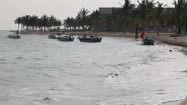 Човни на пляжі у вітряний день — стокове відео