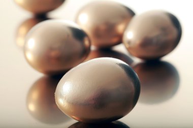 altın yumurta yakın çekim