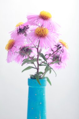 Buket pembe Bahçe sonbahar