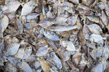 Kurutulmuş balık açık Market