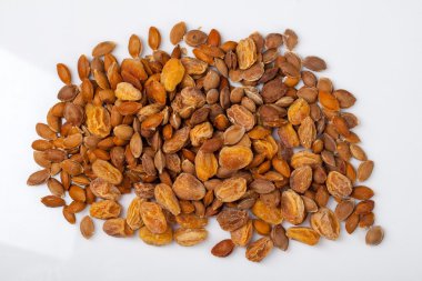 Kuru Kayısı ve kemikler