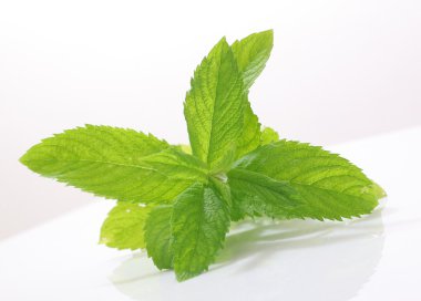 Yeşil nane yaprakları