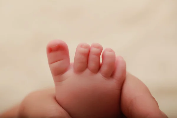 Babyfuß in der Hand der Eltern — Stockfoto