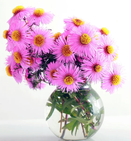 Bouquet de fleurs d'automne de jardin rose — Photo