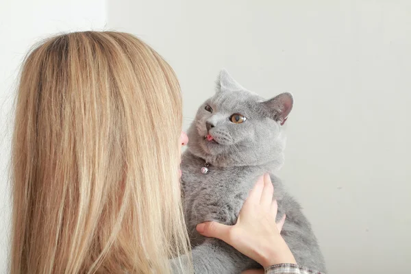 イギリスの猫と女の子 — ストック写真