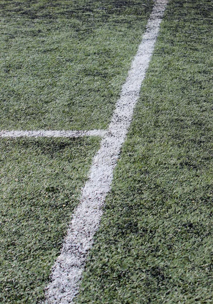Soccer field with white line — Stock Photo, Image