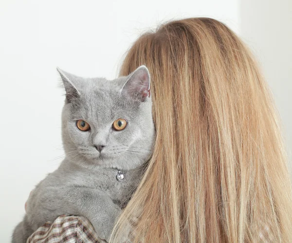 イギリスの猫と女の子 — ストック写真