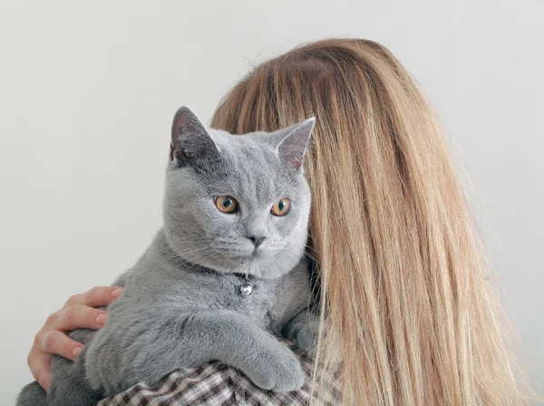 イギリスの猫と女の子 — ストック写真