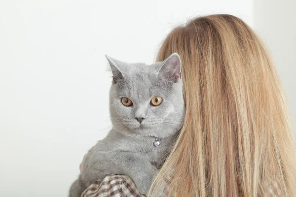 Chica con británico crianza gato — Foto de Stock