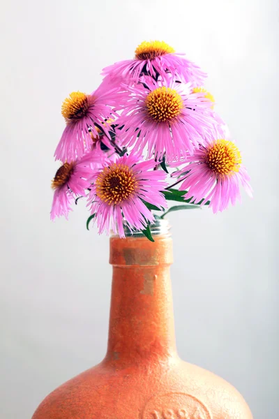 粉色花园秋天的花束 — 图库照片