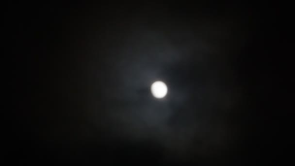 La luna en el cielo nocturno — Vídeo de stock