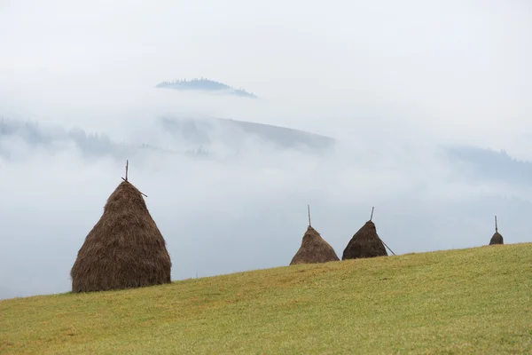 Haystacks in mountains — Stock Photo, Image
