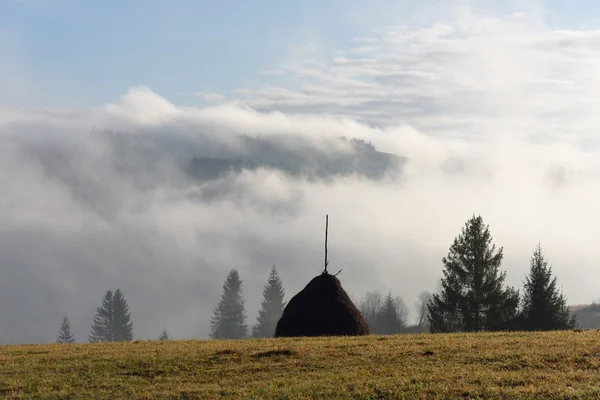 Сільський пейзаж зі стовбуром сіна — стокове фото