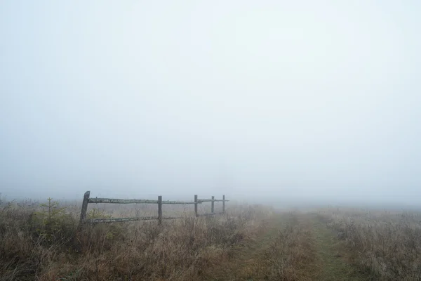 Landschaft mit Nebel und Zaun — Stockfoto