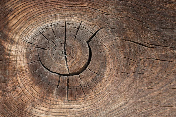 Textuur van oud hout — Stockfoto