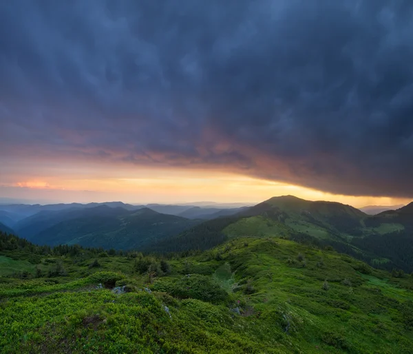 Morgenlandschaft in den Bergen im Sommer — Stockfoto