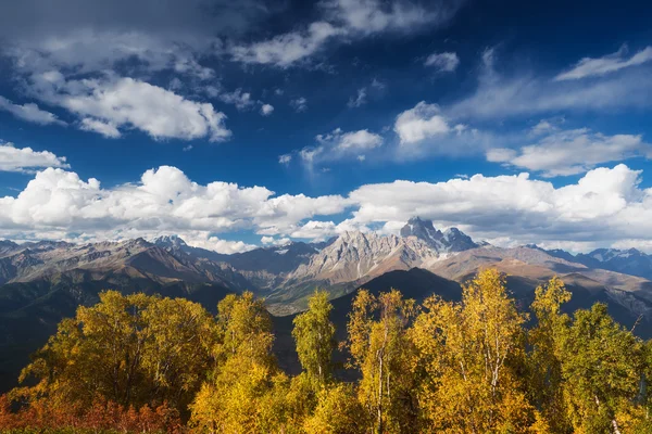 Autumn Landscape with birch forest and mountain range — Stock Photo, Image