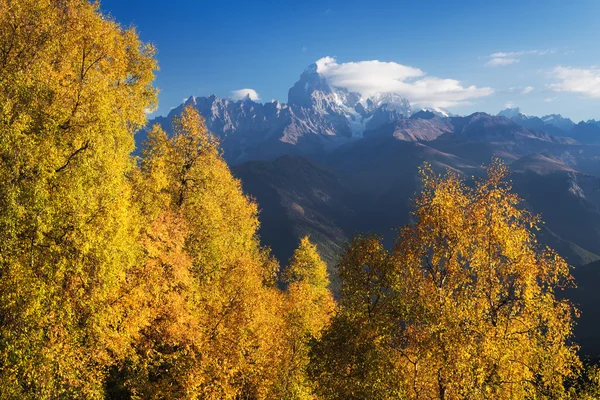 산 꼭대기의 보기와 함께을 풍경 — 스톡 사진