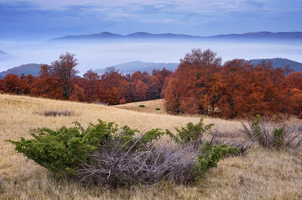 Herfst landschap in de bergen in de ochtend — Stockfoto