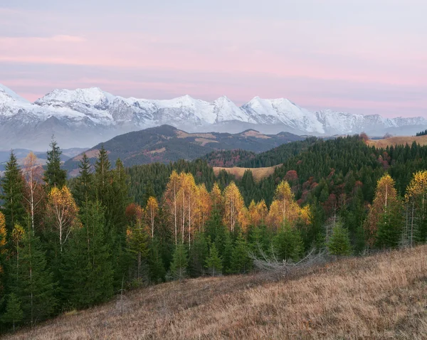 Осенний пейзаж с горными вершинами в снегу — стоковое фото