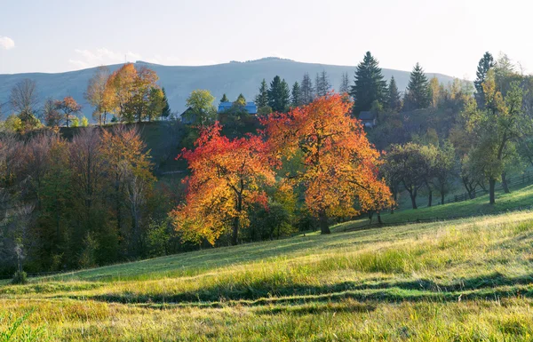 Autumn landscape in a mountain village in the sunny weather — Stock Photo, Image