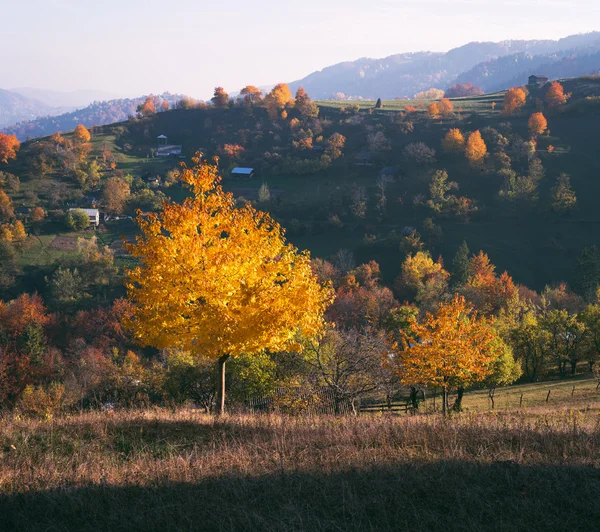 Paisagem de outono em uma aldeia de montanha no tempo ensolarado — Fotografia de Stock